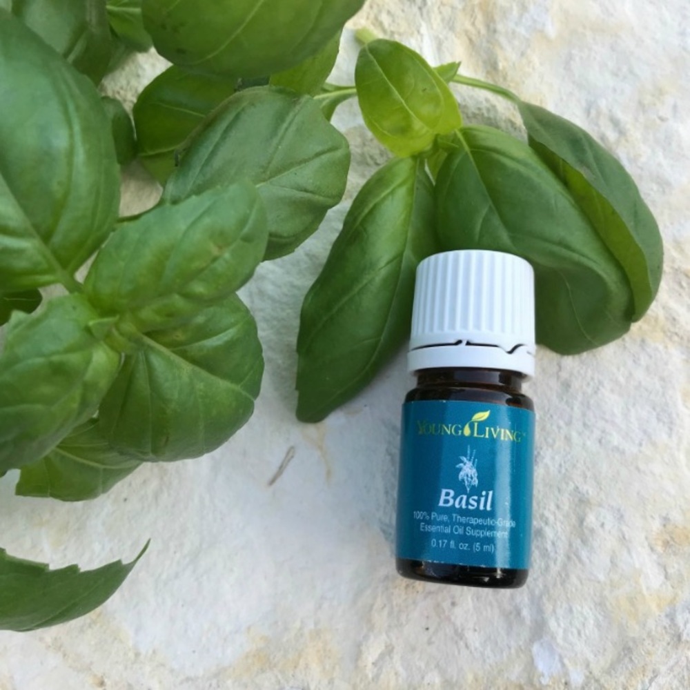 Young living Essential Oil Basil 🌱